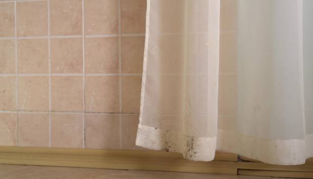 Mold Remediation for Rental Properties in Stratmoor, CO