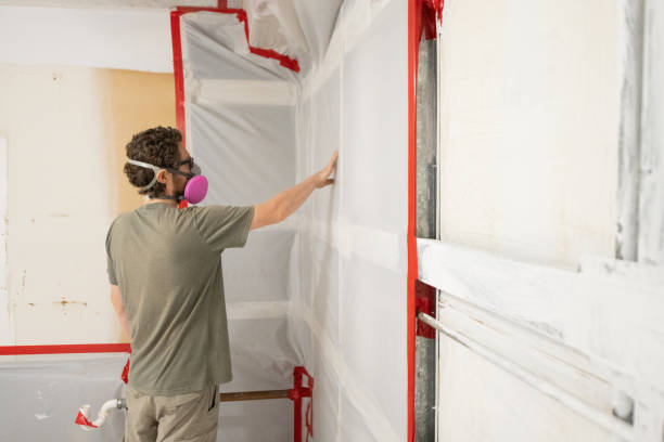 Best Indoor Air Quality Assessment  in Stratmoor, CO
