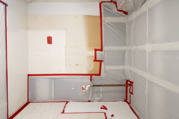 Best Commercial Mold Inspection  in Stratmoor, CO
