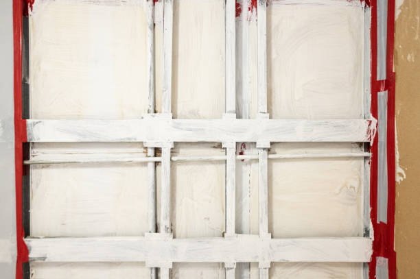 Forensic Mold Investigation in Stratmoor, CO